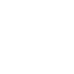 Inpatient Treatment icon